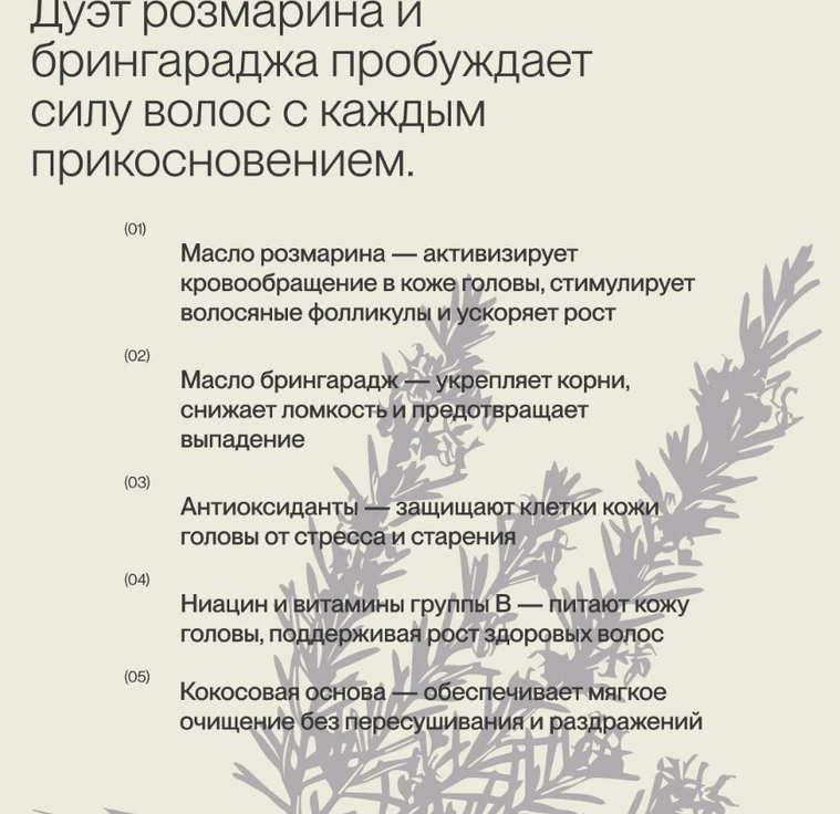 Укрепляющий шампунь для волос ROSEMARY-BHRINGARAJ min 3