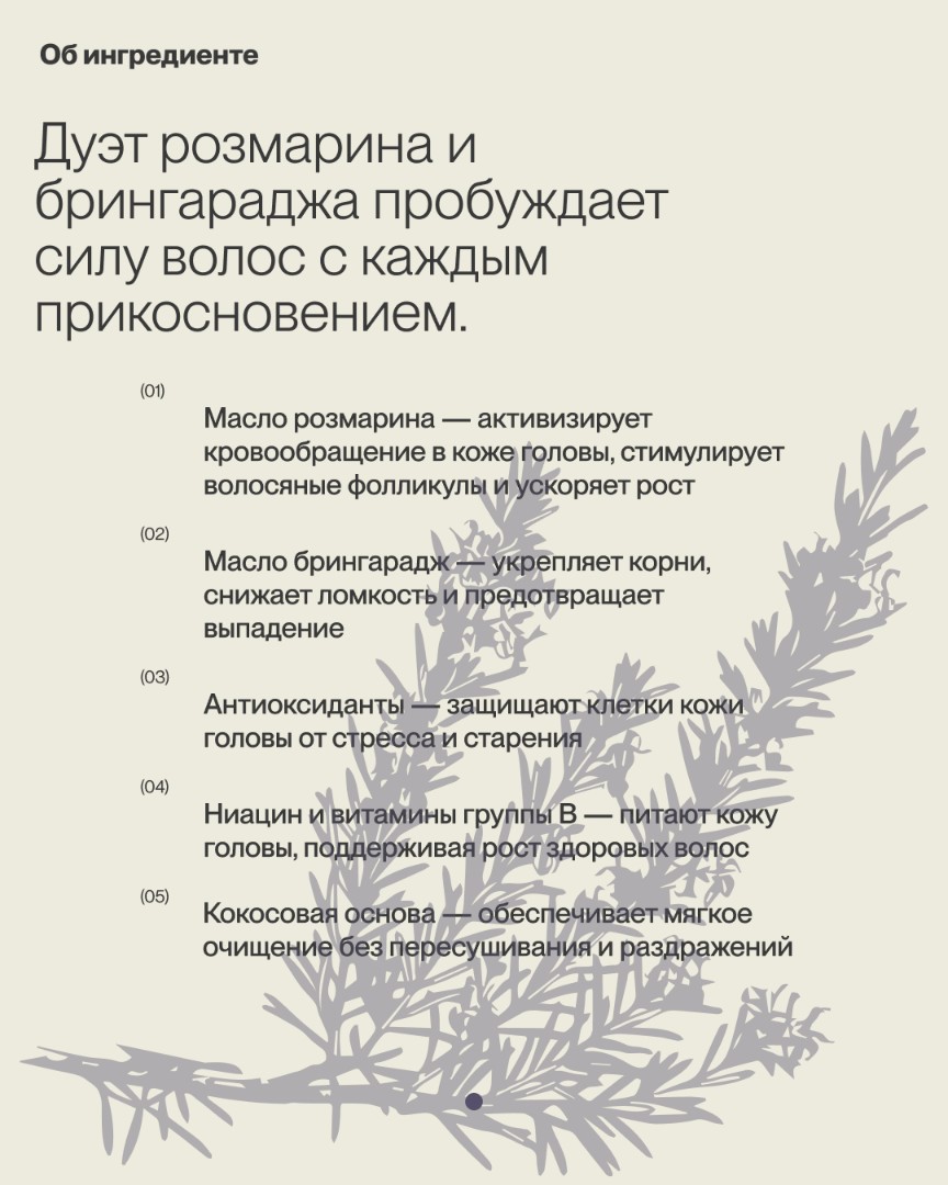 Укрепляющий кондиционер для волос ROSEMARY-BHRINGARAJ 3